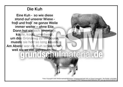 Kuh-SW.pdf